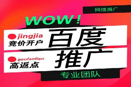 百度SEO推广公司案例解析：实战优化技巧全解读