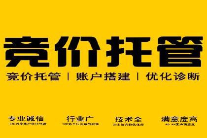 SEM推广策略：成功案例解析与效果评估